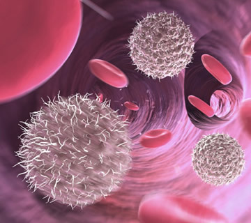 什么是間充質干細胞？