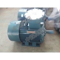 防爆電機DSB系列防爆電機 防爆電機 DSB系列防爆電機