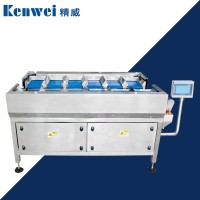 熱賣半自動雞胸肉人工投料定量分裝皮帶秤生鮮食品手動稱重包裝機