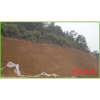 噴播植草多少錢一平方河南景繡質優價惠