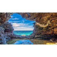 真相曝光！陽光期投不正規(guī)！揭開老師指導(dǎo)虧得原因！