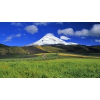 真相曝光！港券寶融資融券不正規！親身經歷講述受騙虧損真相！