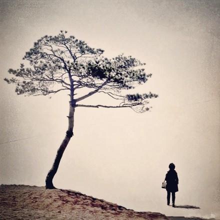 失戀后一個人孤單寂寞傷感的句子,句句催人淚下