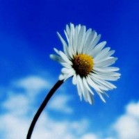 震驚盈點(diǎn)策略正規(guī)合法嗎？反單喊單坑我?guī)资f(wàn)！一招教你挽回?fù)p失