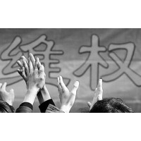 FORD平臺頻繁虧損正常？跟單倫敦金、A50爆倉這是個圈套？