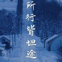 真相揭露！鴻眾銀國際不正規！親身經歷講述受騙虧損真相