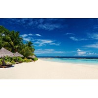 親身講述香港國際葡萄酒交易虧損被騙真相，老師喊單就是一場騙局