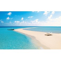 江蘇天鼎證券不正規內幕，虧損幾十萬恍然醒悟是長局