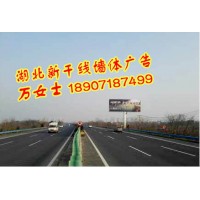 湖北武漢創意墻體店招廣告，湖北武漢戶外廣告牌安裝，武漢軍運會