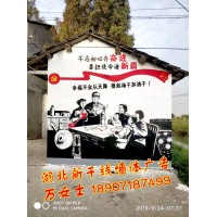 黃石鄉村文化墻彩繪、黃石3D畫立體地面彩繪、黃石店招墻體公司