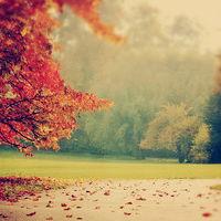 融智和正規(guī)嗎？老師帶單虧損后被踢出去群！難友速來