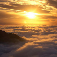 海悅國際正規嗎？虧損慘重內幕大曝光！本人親身經歷揭露騙局！