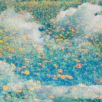 真相揭露鵬成財(cái)經(jīng)正規(guī)靠譜嗎？騙局揭秘坑我?guī)资f(wàn)!難友速來(lái)