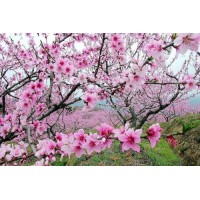 萬(wàn)方資本融資融券不正規(guī)！揭露喊單虧損幾十萬(wàn)真相！本人親身經(jīng)歷