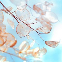 真相揭露日照國際不正規(guī)內幕！揭露騙局真相本人親身經歷告誡