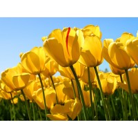 國富證券老師帶單虧損可怕，都是套路被騙虧損