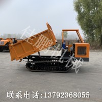 JP-4型履帶款四不像運(yùn)輸車(chē) 農(nóng)用履帶車(chē)價(jià)格優(yōu)惠