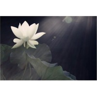 易路商城不正規虧損被騙已曝光，不要在信了各位不要再入金。