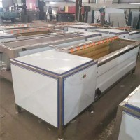 毛輥清洗機(jī) 豬蹄毛輥清洗機(jī) 根莖類毛刷輥清洗設(shè)備