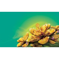 創(chuàng)元期貨虧損騙局韓高遠(yuǎn)一手為之，牛鼎天直播間遍地挖坑