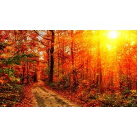 捕風捉影投資認籌套路揭秘！分紅那天就是你虧損的時候