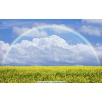 揭穿多陽網(wǎng)不正規(guī)！被騙虧損無法出金！揭露真相本人親歷