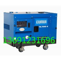 進口柴油發電機TDL7500E-B