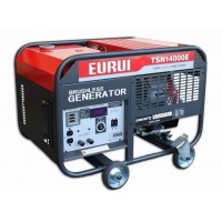 汽油發(fā)電機TSN14000E