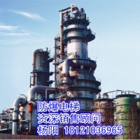 供應(yīng)湖北省武漢市防爆電梯、煤氣柜電梯