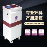 低頻產后治療儀原理
