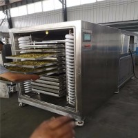100平真空冷凍干機 水果切片冷凍鮮蔬凍干機 連續低溫凍干機