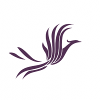 進口48號全精煉石蠟