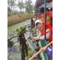 蘇州少兒自然探索憶童年采菱營地教育研學旅行社會實踐課報名了