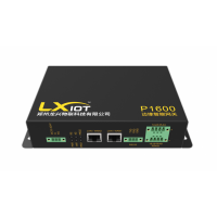 龍興物聯(lián)邊緣計算網(wǎng)關(guān) P1600