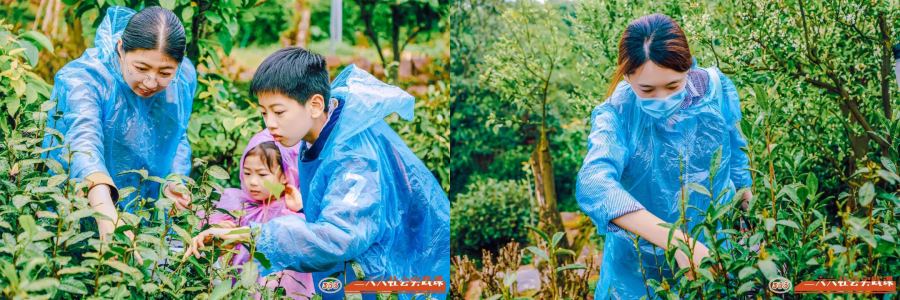 1696817864937905.jpg 91.jpg