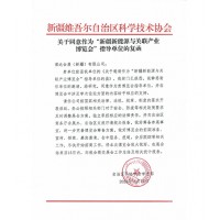2024新疆新能源電力電力與關(guān)聯(lián)產(chǎn)業(yè)博覽會(huì)在新疆召開